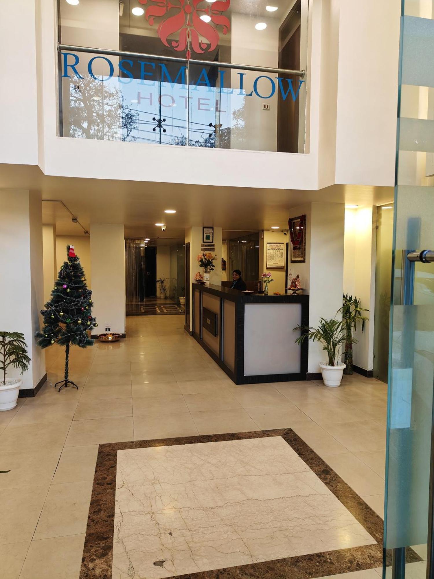 Rosemallow Hotel New Delhi Luaran gambar